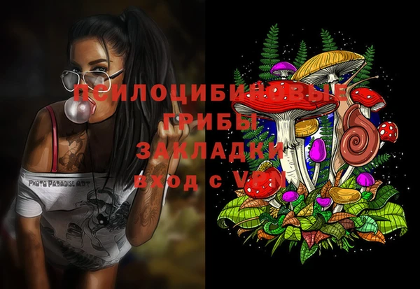 бошки Арсеньев