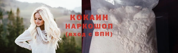 стаф Балахна