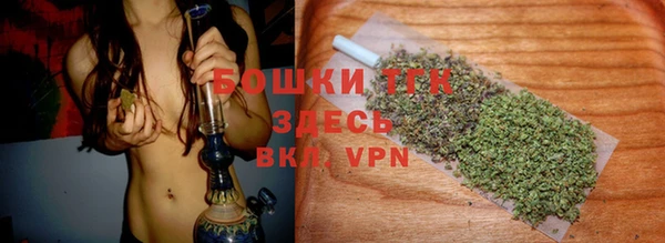 стаф Балахна